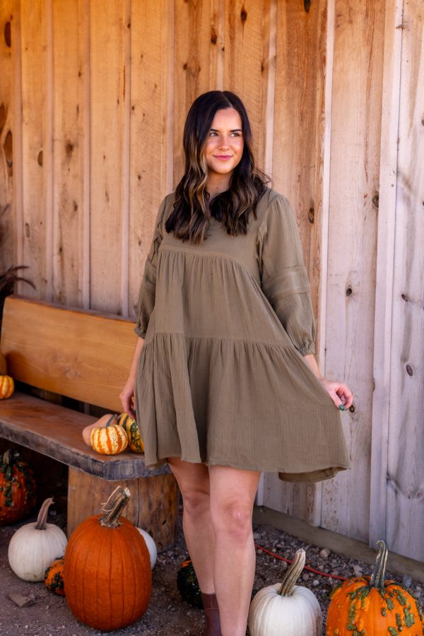 Hailey Mini Dress | Ash Olive Online