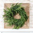 PDPW2401 24  Evergreen Wreath Cheap