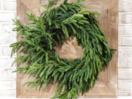 PDPW2401 24  Evergreen Wreath Cheap