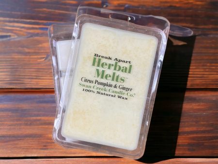 Swan Creek Drizzle Melt | Citrus Pumpkin & Ginger Online Hot Sale