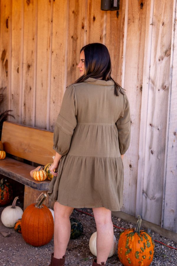 Hailey Mini Dress | Ash Olive Online