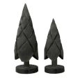 Paulownia Trees Set of 2 | Black Online now