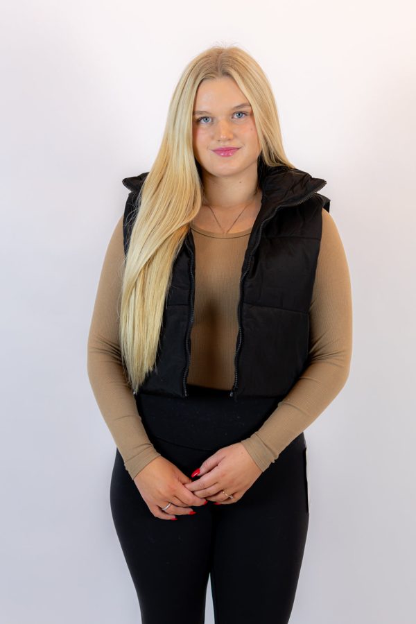 Shelby Puffer Vest | Black For Sale