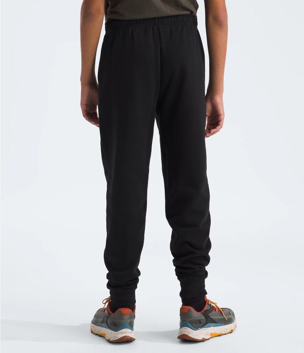 Teen Camp Fleece Jogger | TNF Black For Sale