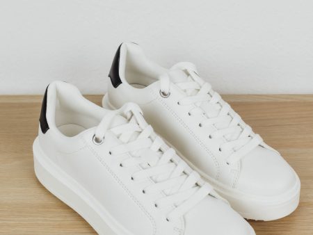 Steve Madden Charlie Sneaker | White Black Supply