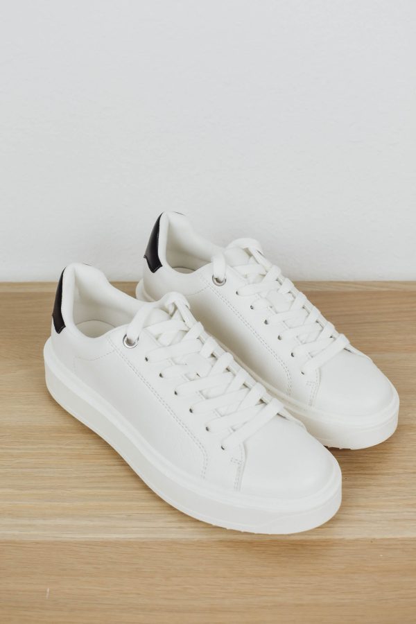 Steve Madden Charlie Sneaker | White Black Supply