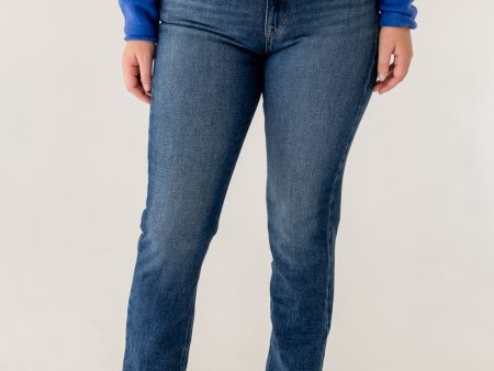 We The Free Leila High-Rise Leggy Slim Jeans | Cupid Blue For Sale