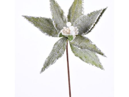 271791 23  Frosted Poinsettia Stem Sale