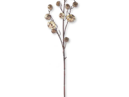 54240A-GO 30  Antique Gold Bell Branch Supply