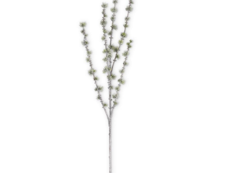 53386B 41  Mini Green Snowy Pine Stem Supply