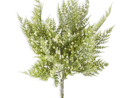 55096A 13  Glittered Snowy Fern Hot on Sale