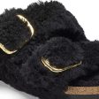 Birkenstock Arizona Big Buckle Shearling N | Teddy Black Supply