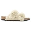 Birkenstock Arizona Shearling N | Teddy Eggshell For Discount