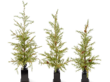 54511A Set of 3 Pine Trees Supply