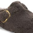 Birkenstock Boston Big Buckle Shearling N | Teddy Gray Fashion