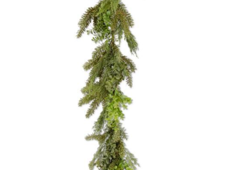 54560D 72  Boxwood Pine Garland Online now