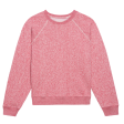 The Shrunken Sweatshirt on Sale