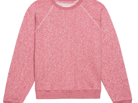 The Shrunken Sweatshirt on Sale