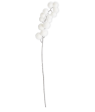 54466D-WH 32  White Snowy Glittered Pom Pom Spray on Sale