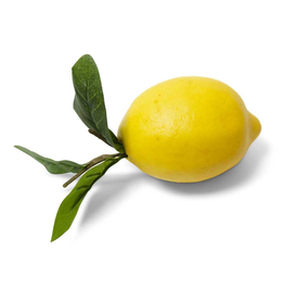 Lemon w  Foliage 4.5  Online Sale