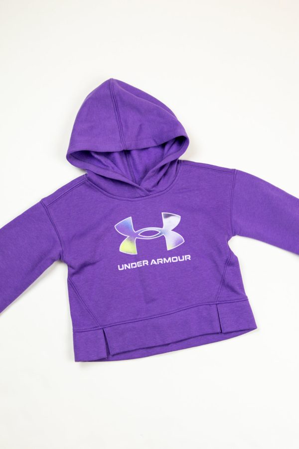 Under Armour Big Logo Hoodie | Lavish on Sale